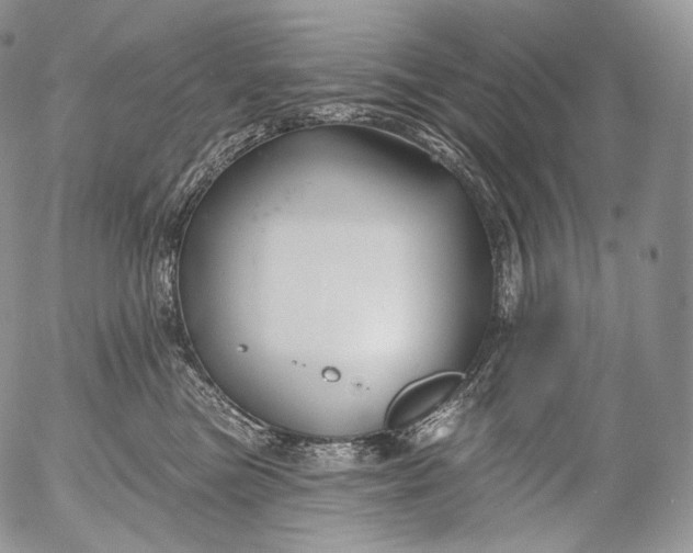 X0000053120473200508012156