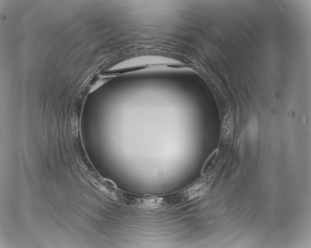 X0000053120474200508012156