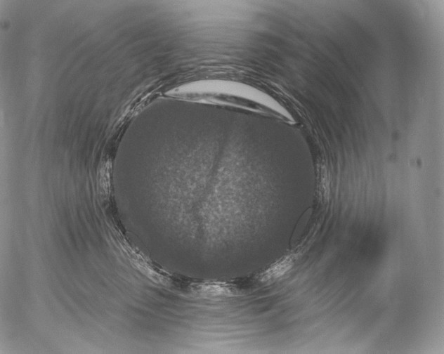 X0000053120475200508012156