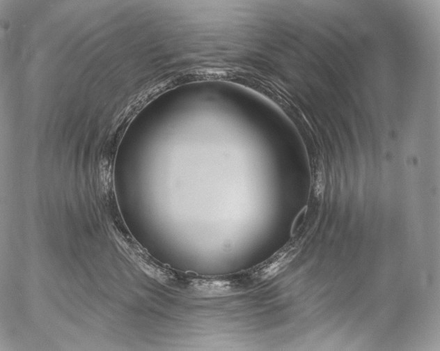 X0000053120476200508012156