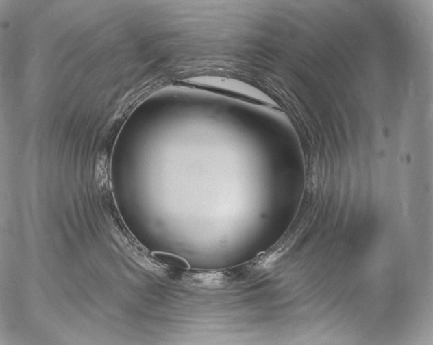 X0000053120478200508012156