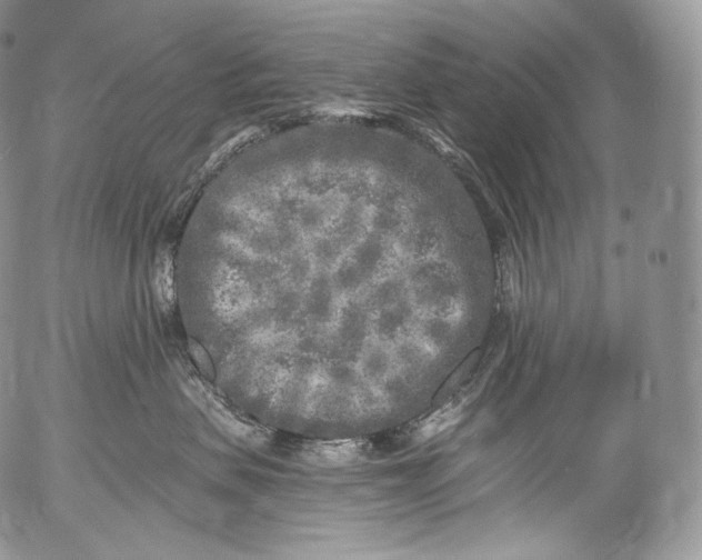 X0000053120479200508012156