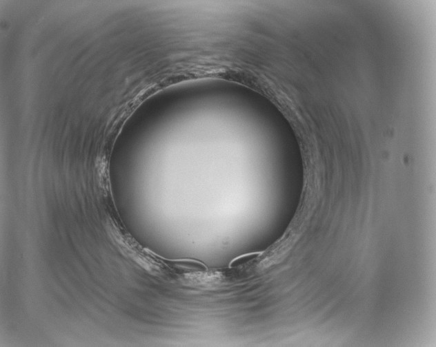 X0000053120480200508012156