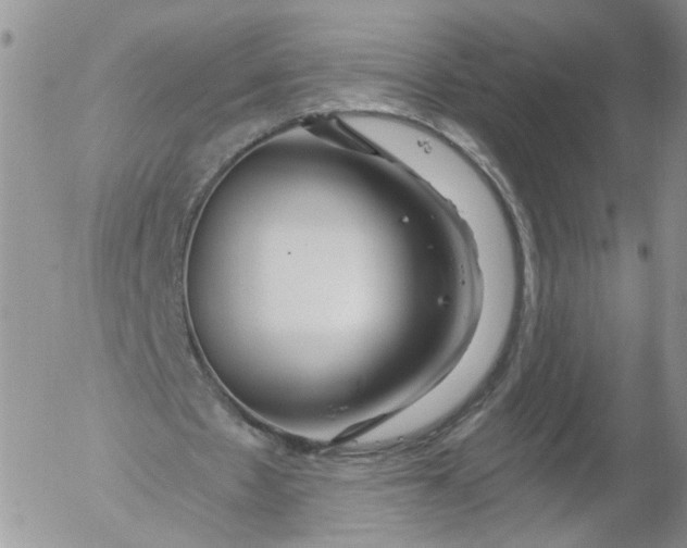 X0000053120481200508012155