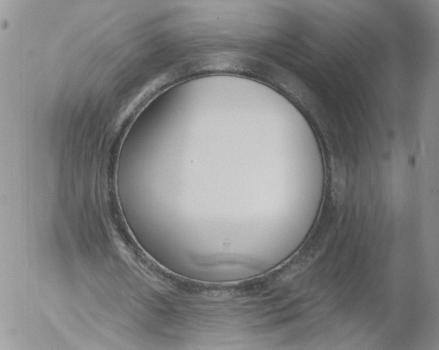 X0000053120482200508012155