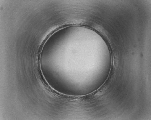 X0000053120483200508012155