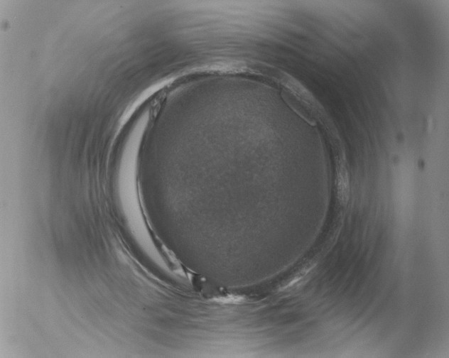 X0000053120484200508012155