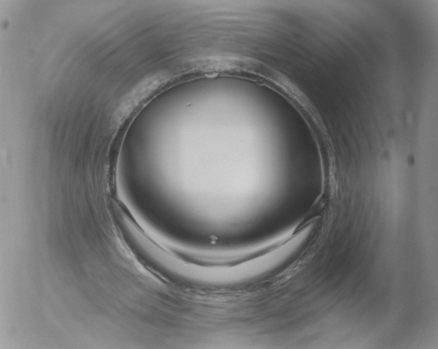 X0000053120485200508012155