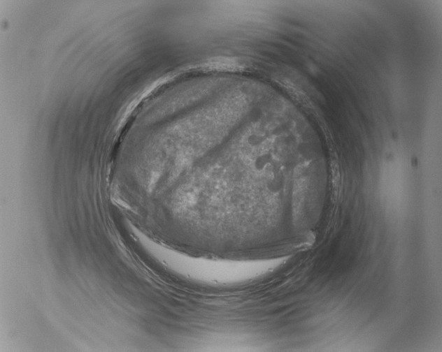 X0000053120487200508012155