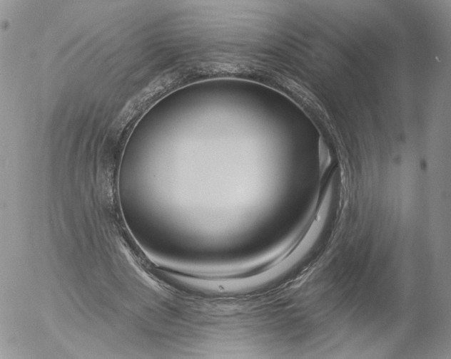 X0000053120489200508012155