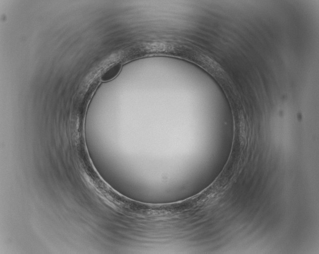 X0000053120490200508012155