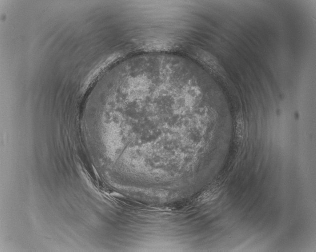 X0000053120491200508012155