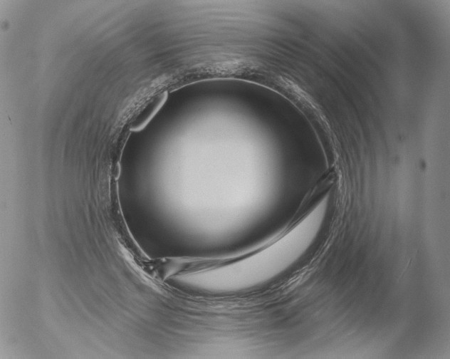 X0000053120493200508012155