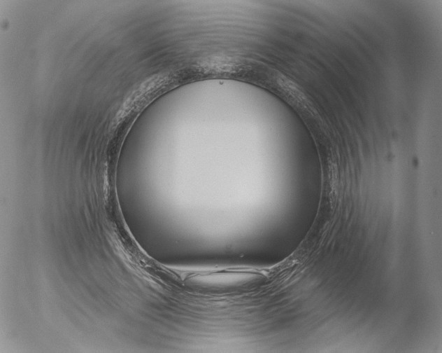 X0000053120494200508012155