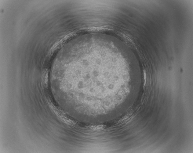 X0000053120495200508012155