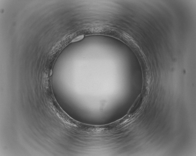 X0000053120497200508012155