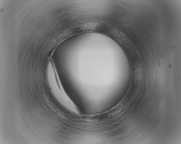 X0000053120498200508012155