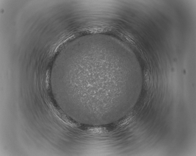 X0000053120499200508012155