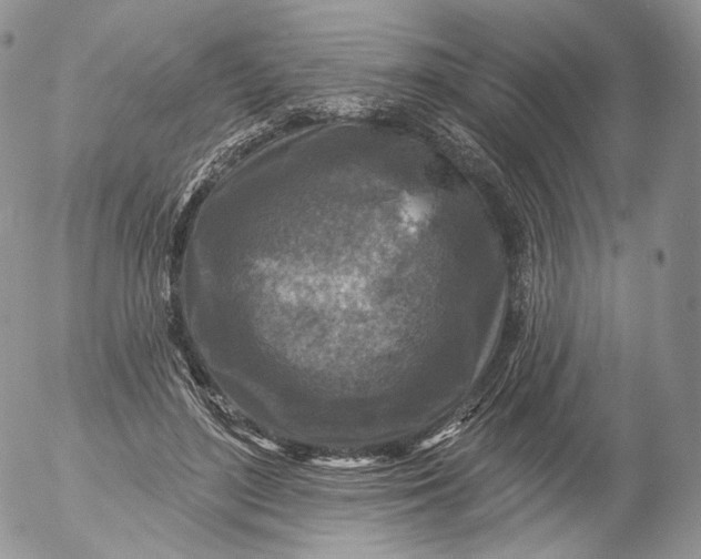 X0000053120500200508012155