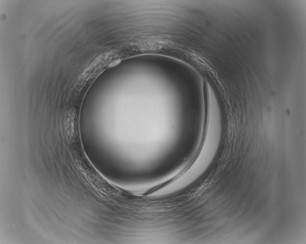 X0000053120501200508012155