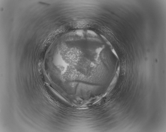 X0000053120503200508012155