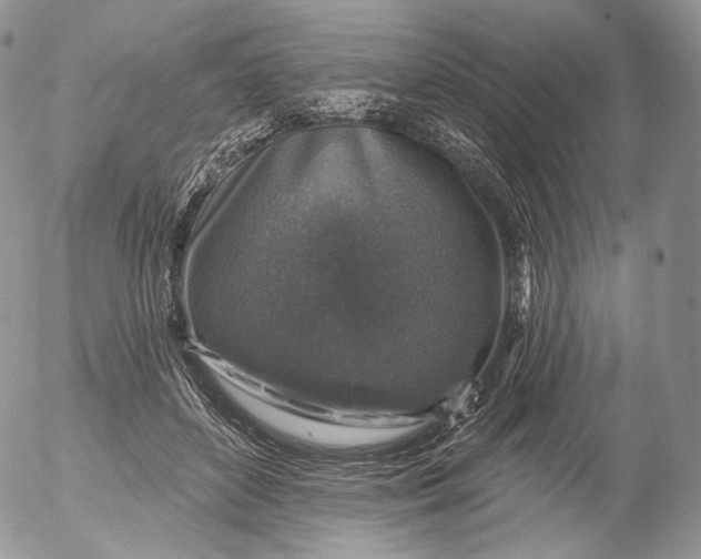 X0000053120504200508012155