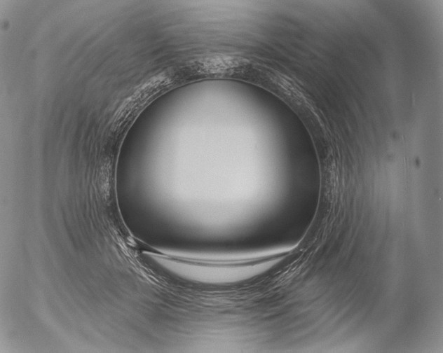 X0000053120505200508012155