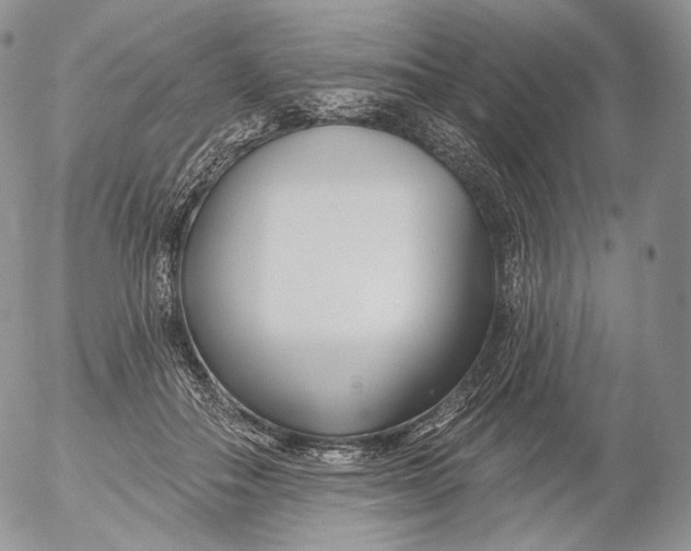 X0000053120506200508012155