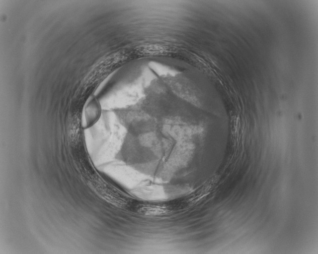 X0000053120507200508012155