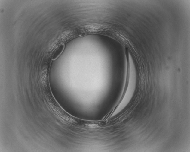 X0000053120509200508012155