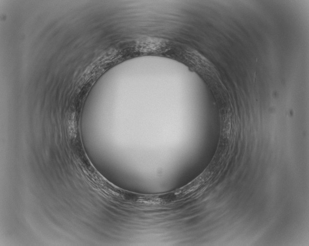 X0000053120510200508012155