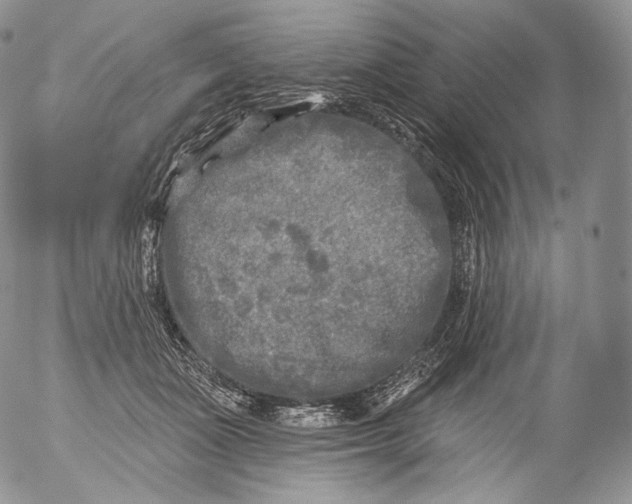 X0000053120511200508012155