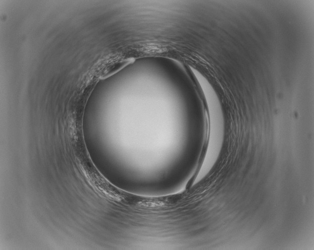 X0000053120512200508012155