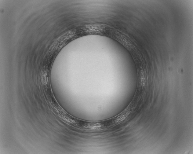 X0000053120514200508012155