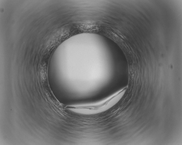 X0000053120515200508012155