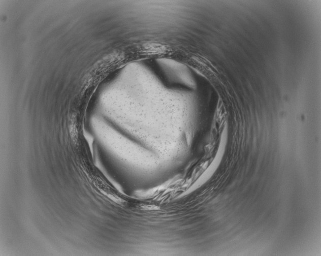 X0000053120516200508012155