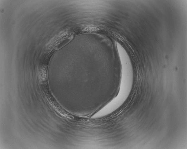 X0000053120517200508012155