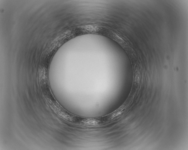 X0000053120518200508012155