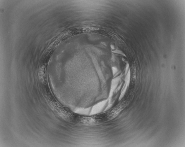 X0000053120519200508012155