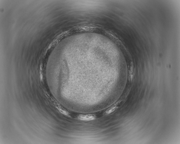 X0000053120520200508012155