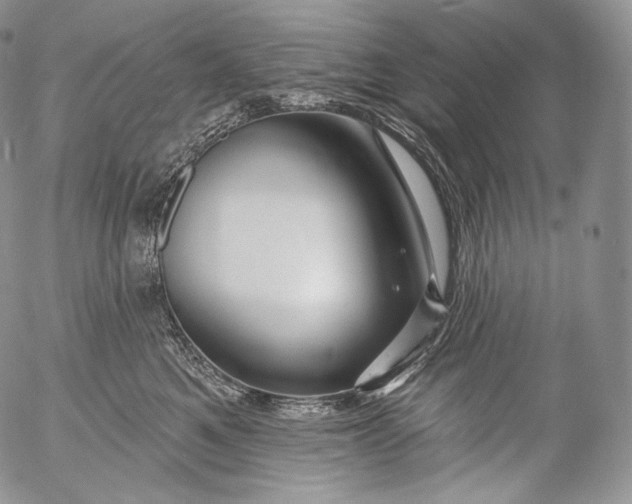 X0000053120521200508012155