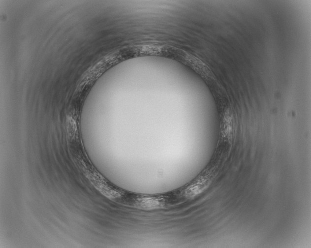 X0000053120522200508012155