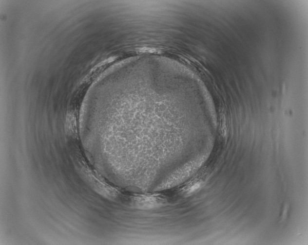 X0000053120523200508012155