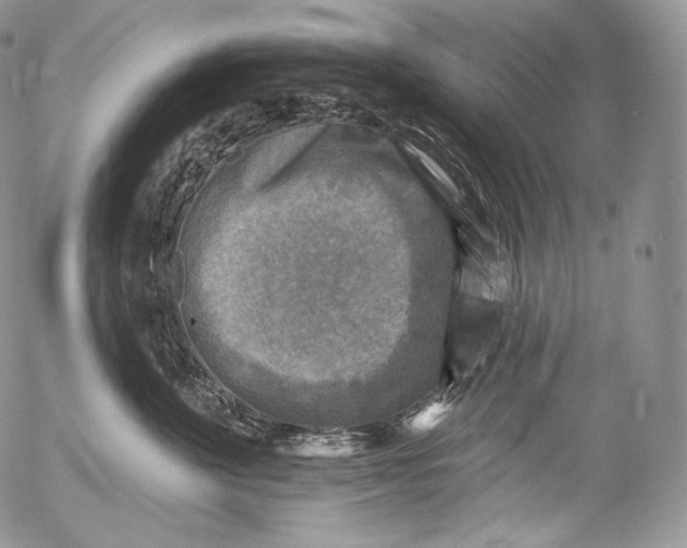 X0000053120524200508012155