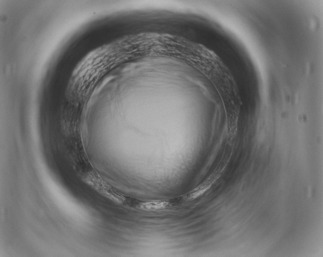 X0000053120526200508012154