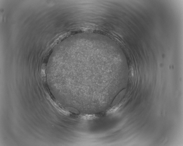 X0000053120527200508012154