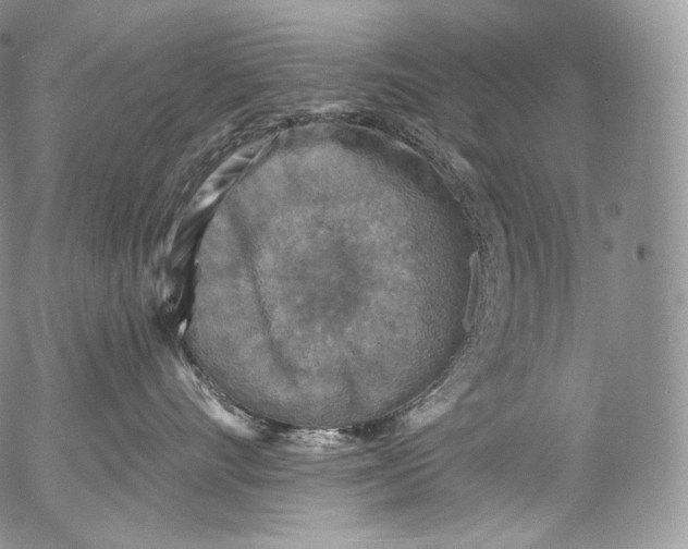 X0000053120528200508012154