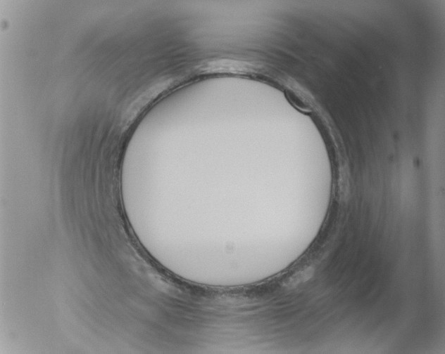 X0000053120529200508012154