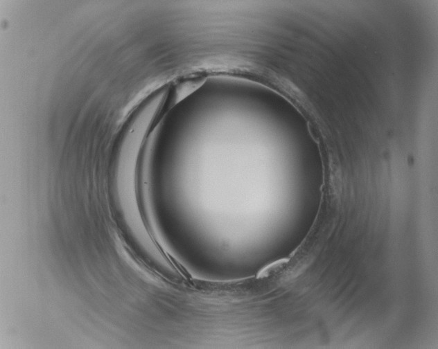 X0000053120530200508012154