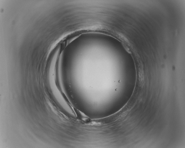 X0000053120532200508012154